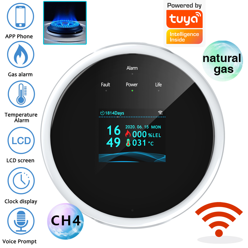 Home Security And Monitoring - 2.4G WiFi 가스 경보 센서 가연성