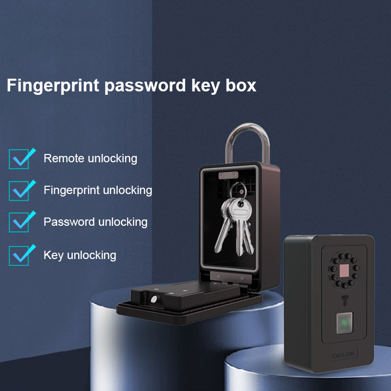지능형 패드락 걸이형 디자인 비밀번호 저장 금고 가정용 - Home Security Box 리뷰 및 가격