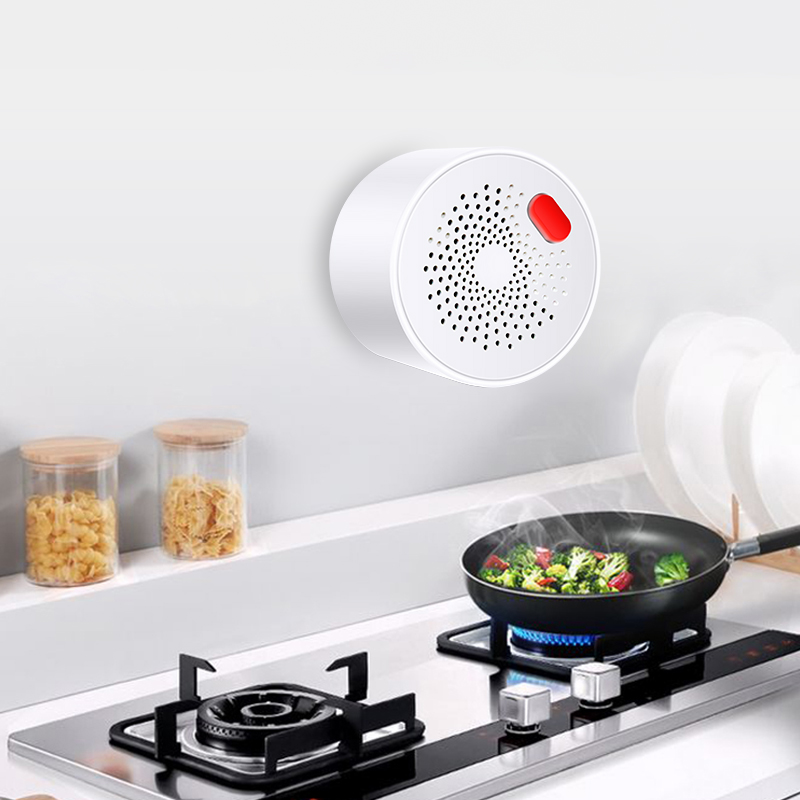 Tuya 스마트 홈 와이파이 천연 가스 센서, 가연성  - Home Security Device 리뷰 및 가격